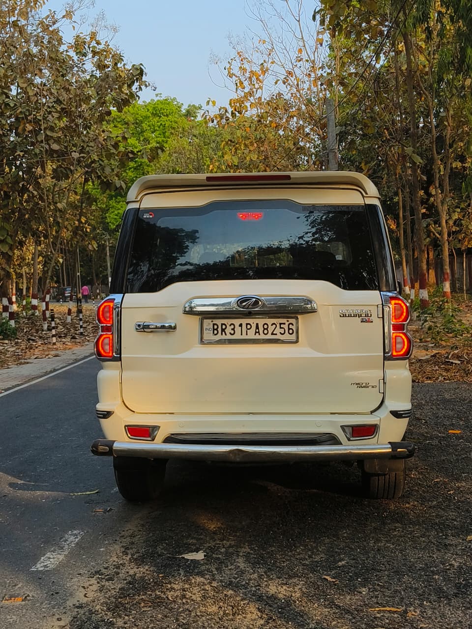 Car Image 4