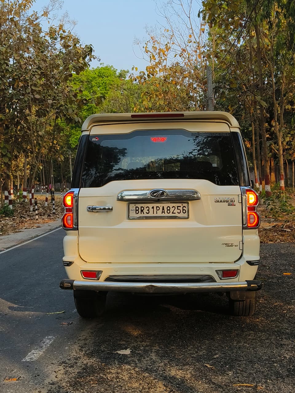 Car Image 6